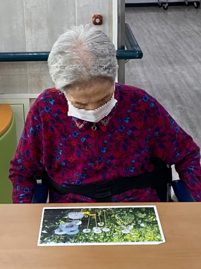 회상요법