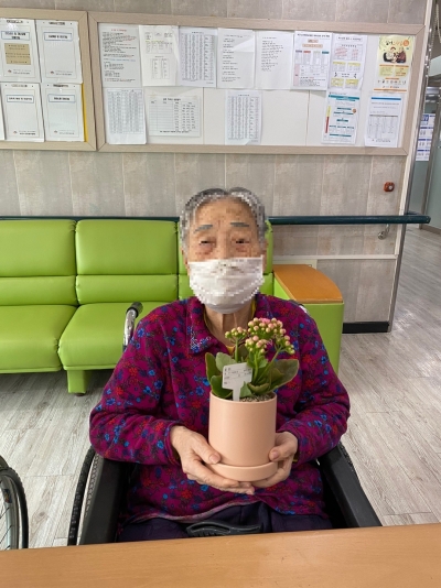 원예치료